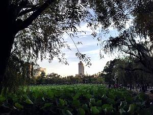 Kunming - Parc Cuihu - 70